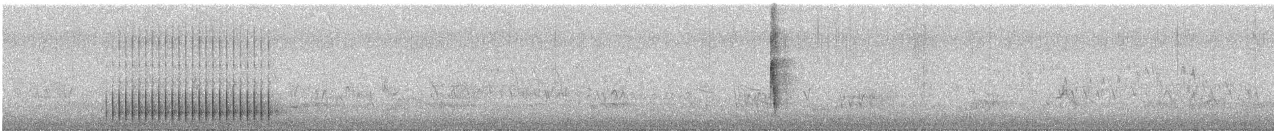 Nuttall's Woodpecker - ML319836191