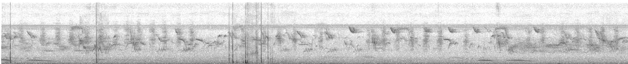 Blunt-winged Warbler - ML319913801