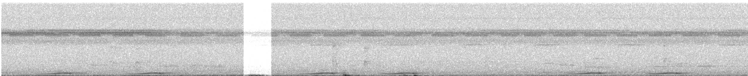 holub černošíjný - ML319930881