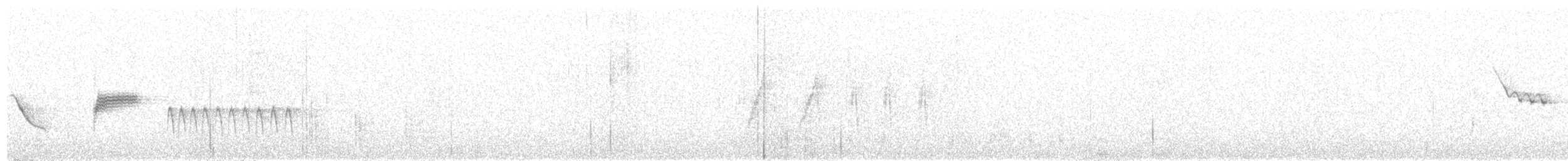 chickadee sp. - ML319957141