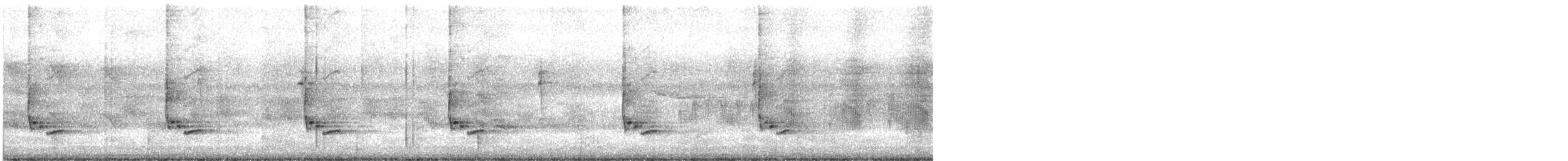 Troglodyte de Caroline - ML319965851