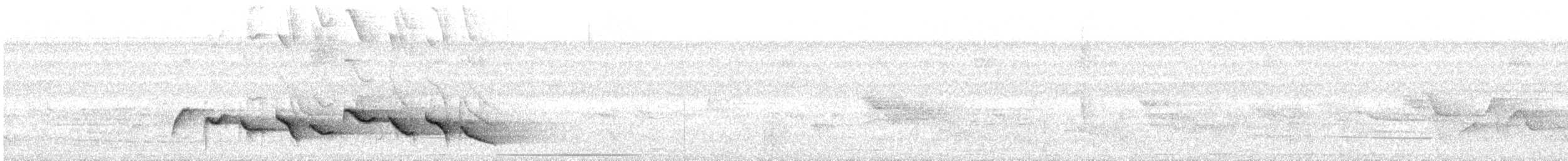 Sumichrast's Wren - ML31999131