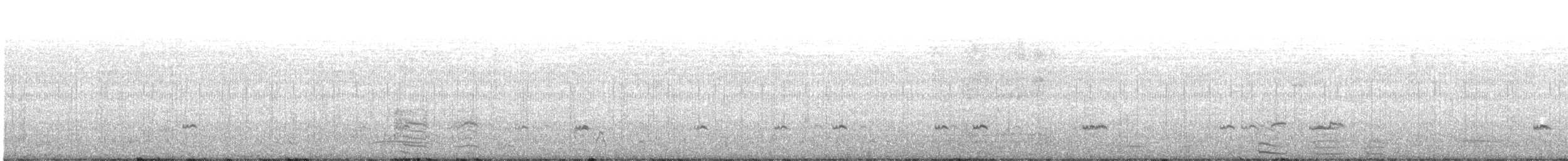 čírka obecná (ssp. crecca) - ML320023011