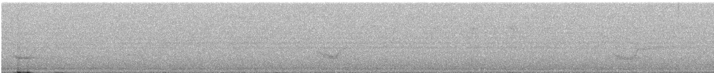 Drongo à crinière (suluensis) - ML320061861