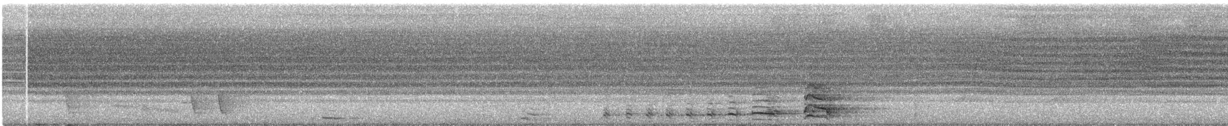 Haarbuschdrongo (suluensis) - ML320062341
