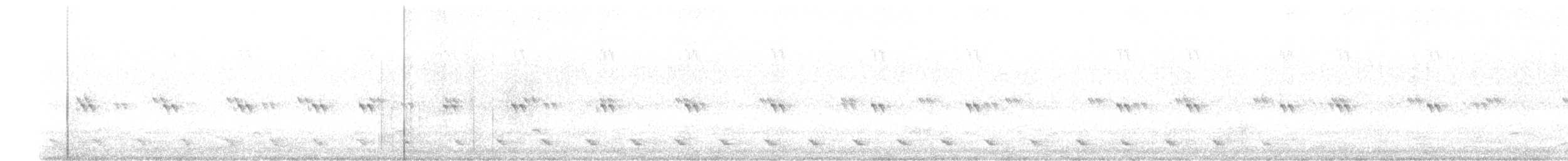 Chevêchette australe - ML320063561