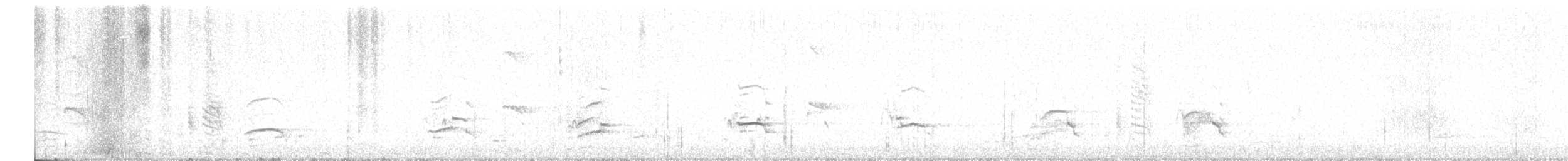 Kara Göğüslü Dağ Şahini - ML320106341