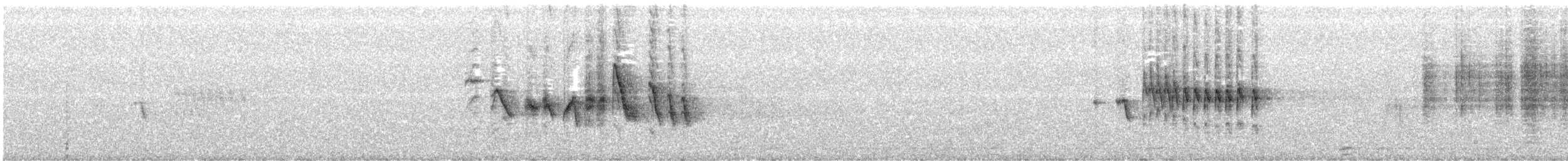 Горихвістка чорна - ML32018151
