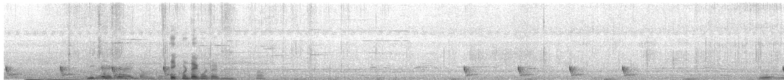 Large-tailed Nightjar - ML320190731