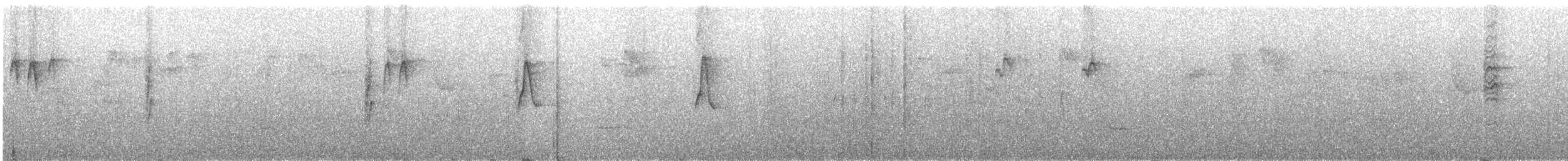 Souimanga à gorge améthyste (juliae) - ML320202041