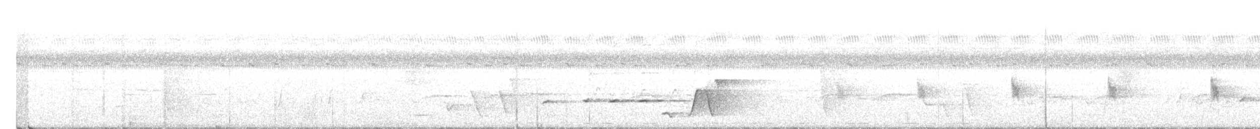 Меланезийский свистун - ML320224211