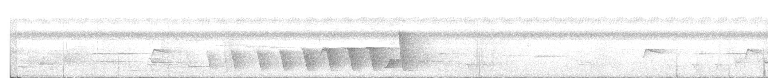 Меланезийский свистун - ML320224331