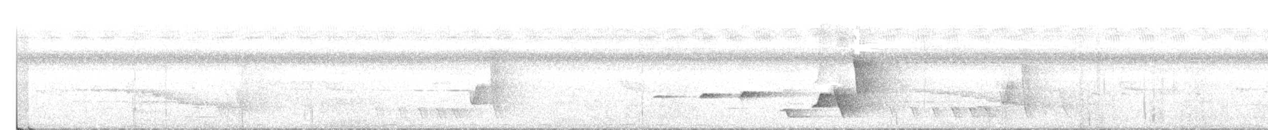 Siffleur mélanésien - ML320224491