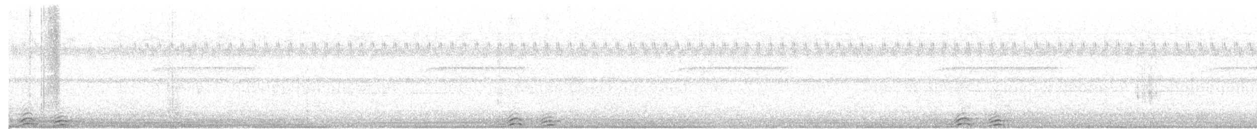 sovka štěkavá - ML32025211