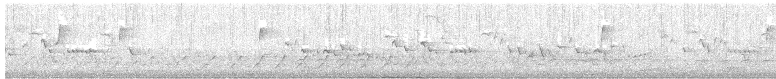 フユミソサザイ - ML320286251