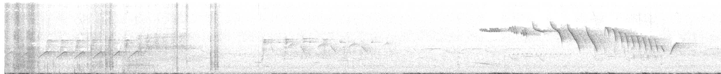 Grimpereau des bois - ML320319751