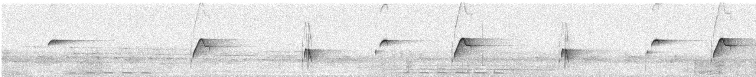 Batı Amerika Sinekkapanı (occidentalis/hellmayri) - ML32038211