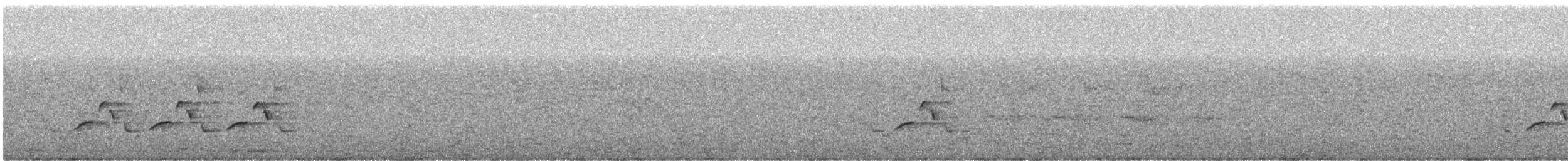 Поплітник каролінський - ML320399711
