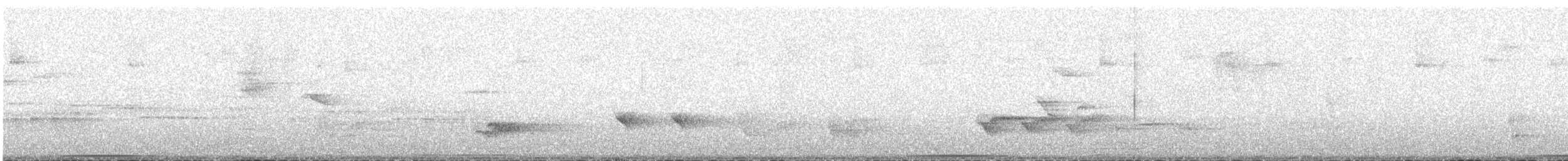 Weißgesichttaube - ML320523771