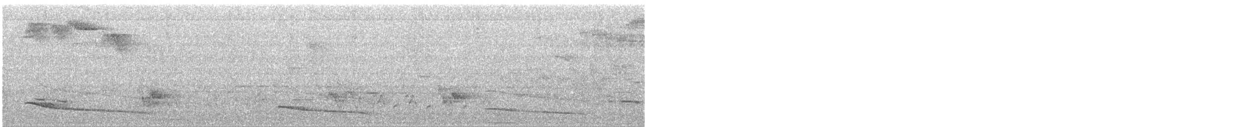 Кокоа плямистий - ML320525781