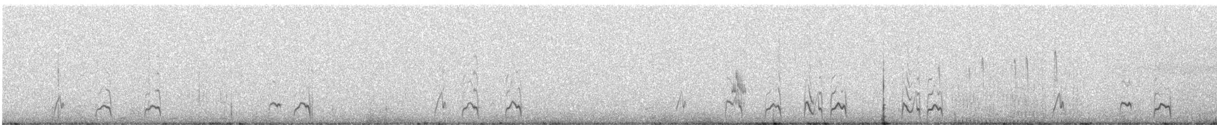 Taşlık Cüce Bıldırcını - ML320528261