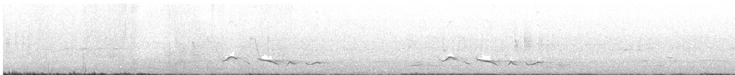 Black-crowned Tchagra - ML320663641