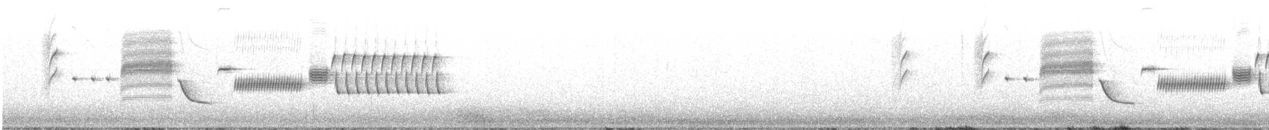 Troglodyte de Bewick - ML320725311