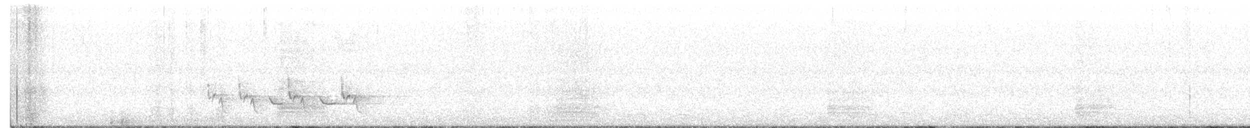 Поплітник каролінський - ML320729851