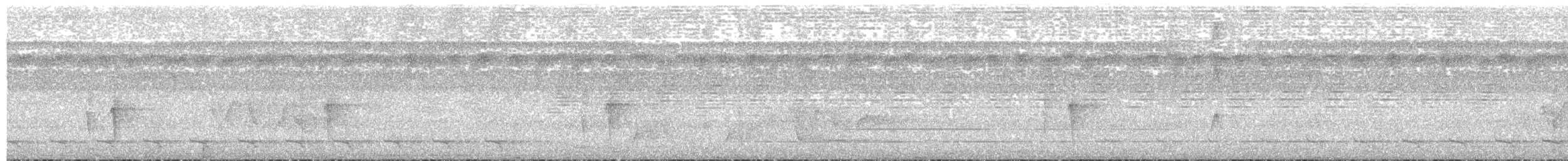 Тиран-малюк гвіанський - ML320739361