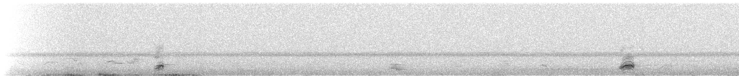 Black-crowned Night Heron - ML320781121