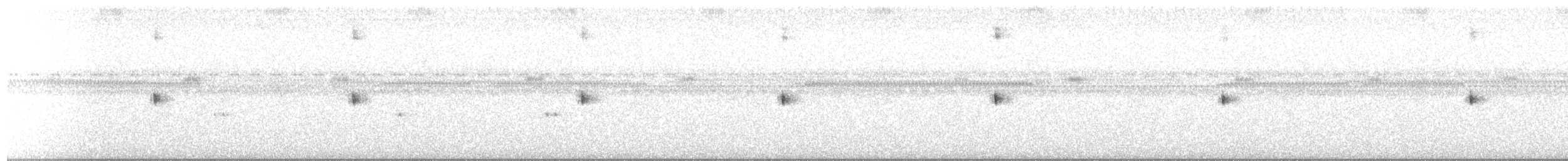 Scherenschwanz-Nachtschwalbe - ML320887691