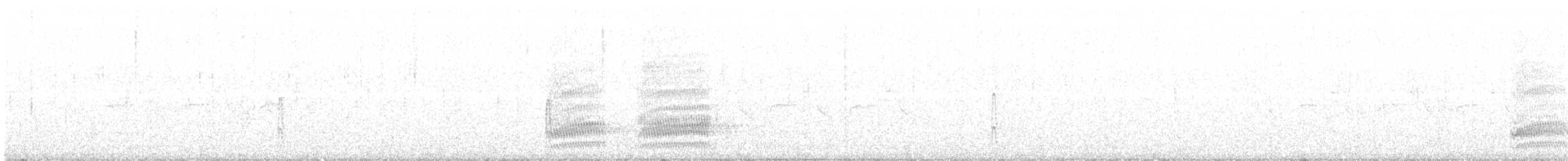 ořešník kropenatý - ML320992841