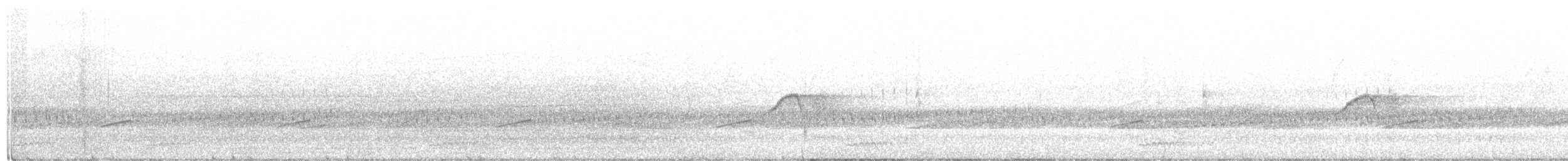 Светлобрюхий фиби - ML321048211