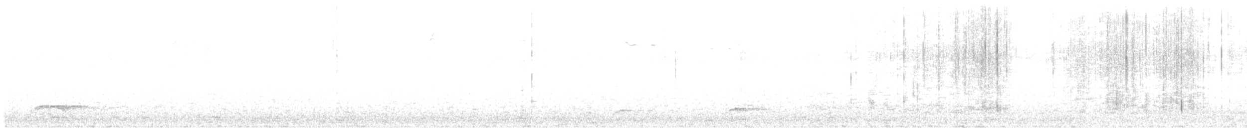 Pileated Woodpecker - ML321058301
