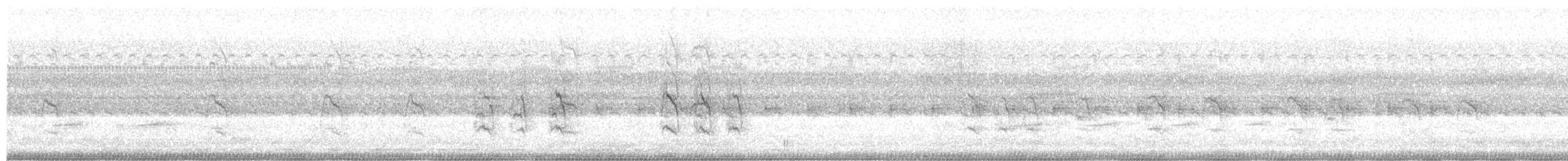Striped Cuckoo - ML321153441