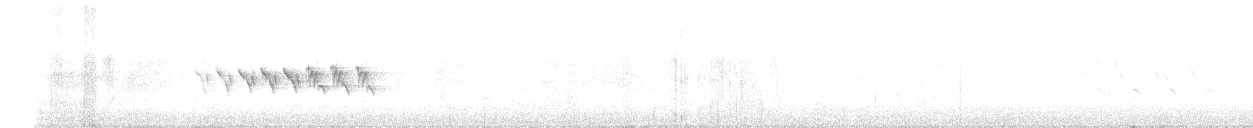 キヅタアメリカムシクイ（auduboni） - ML321157741