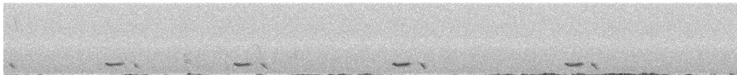 Kara Kanatlı Yer Kumrusu - ML321158761