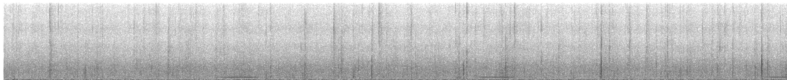 Çizgili Bıldırcın Kumrusu - ML321215281