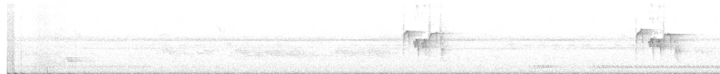 gråkjøttmeis (cinereus gr.) - ML321228651