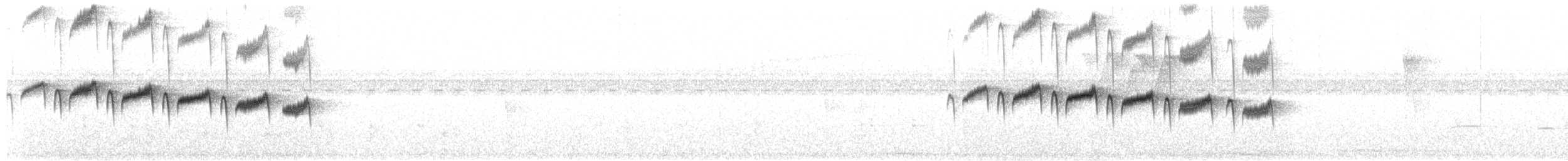 Schwarzkehl-Ameisenvogel - ML321252991