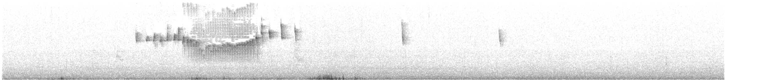 Boz Karınlı Sinklot - ML321282561
