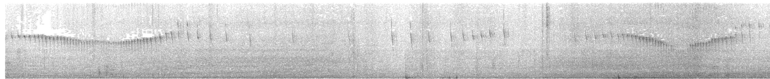 Gray-flanked Cinclodes - ML321282581