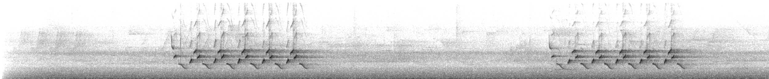 Каролинский крапивник - ML321325971