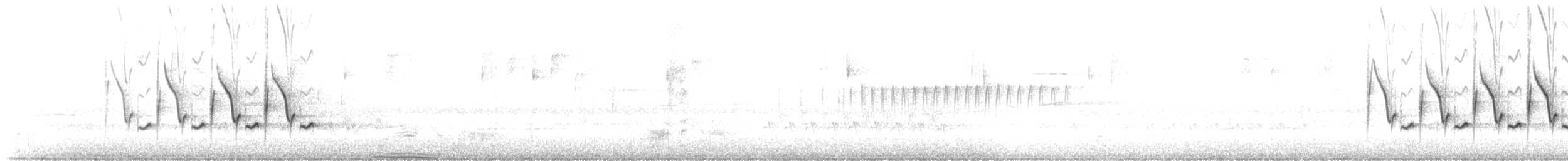 Каролинский крапивник - ML321326311