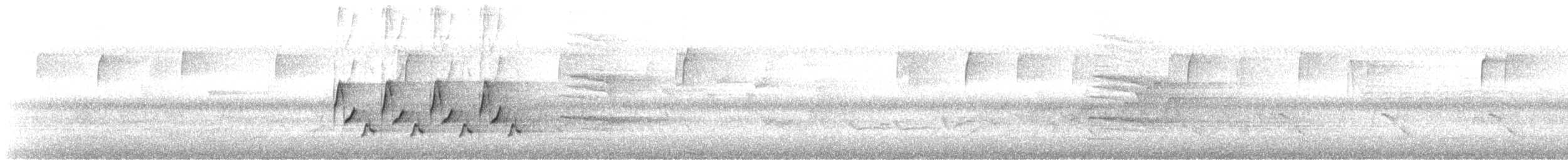 Каролинский крапивник - ML321347921