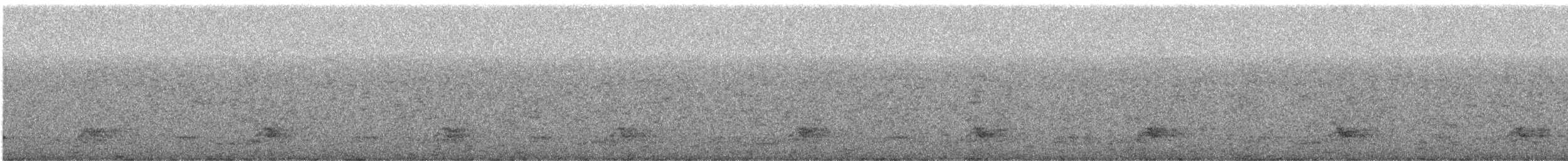 Schwarzkehl-Nachtschwalbe - ML321467151