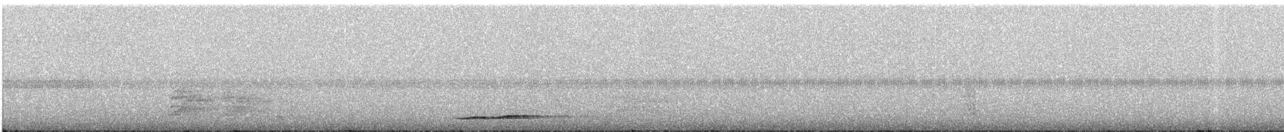 Thicket Tinamou - ML321485061