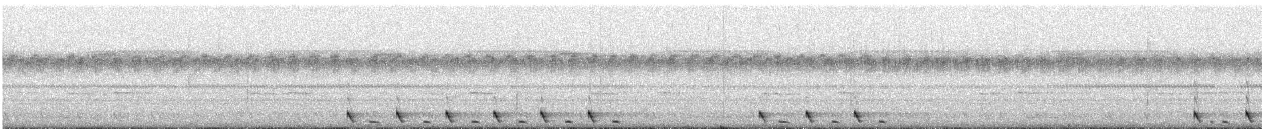Dschungelnachtschwalbe - ML321510461
