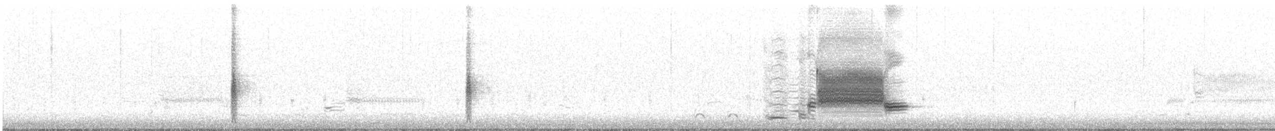 rødvingetrupial (phoeniceus gr.) - ML321560221
