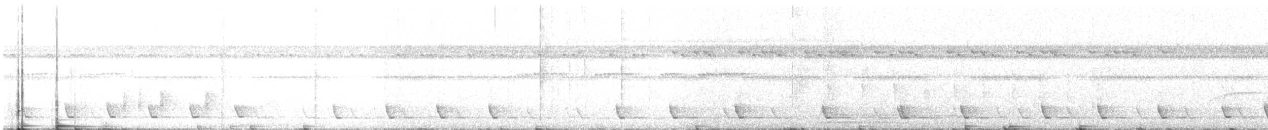 Синчівка смугастовола [група bornensis] - ML321588231